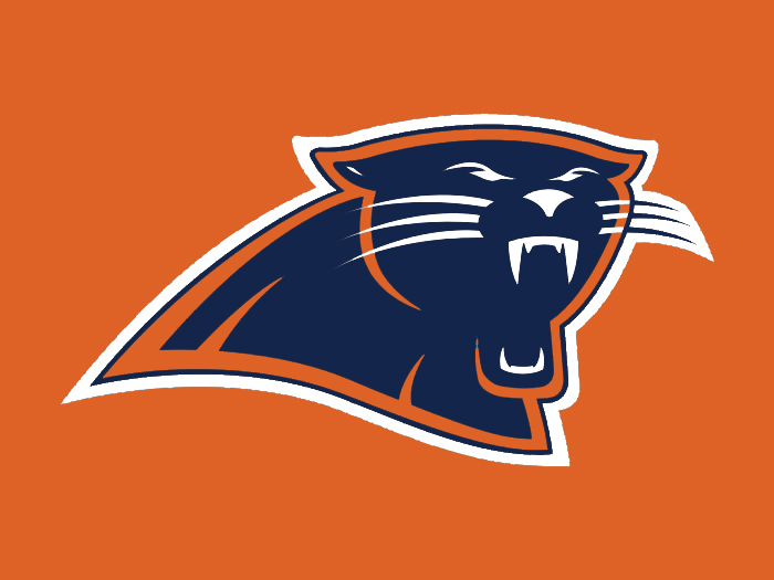 Carolina to Denver colors logo iron on transfers